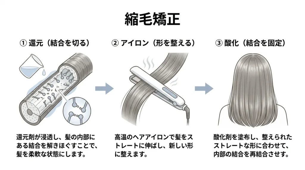縮毛矯正の仕組み